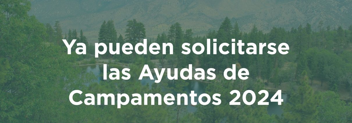 ayudas campamentos